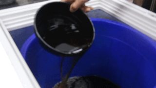 ӈD.GIF