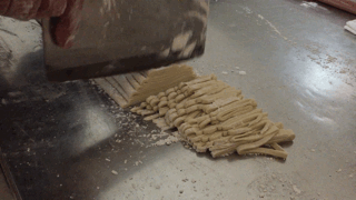 gif1.GIF